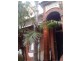 56 Kingston Road, Camperdown NSW 2050