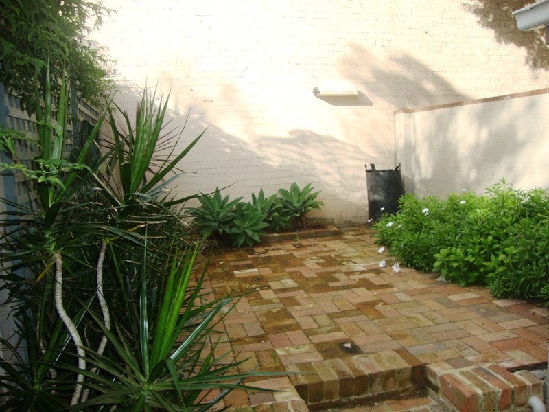 48 Reiby Street, Newtown NSW 2042