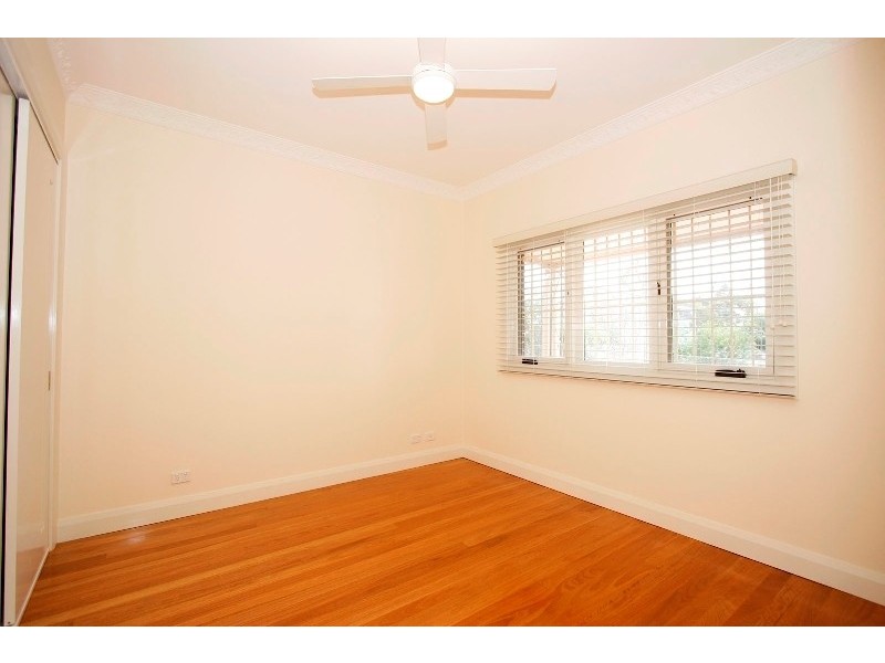 117 Trafalgar Street, Stanmore NSW 2048