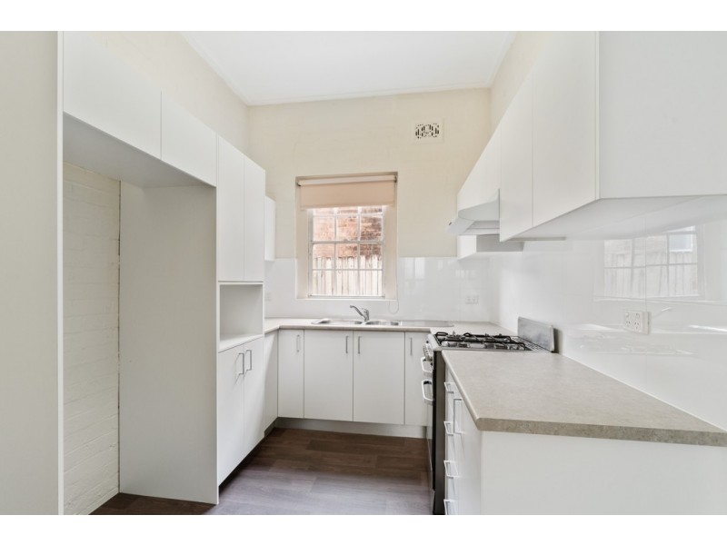 56 Milton Street, Ashfield NSW 2131