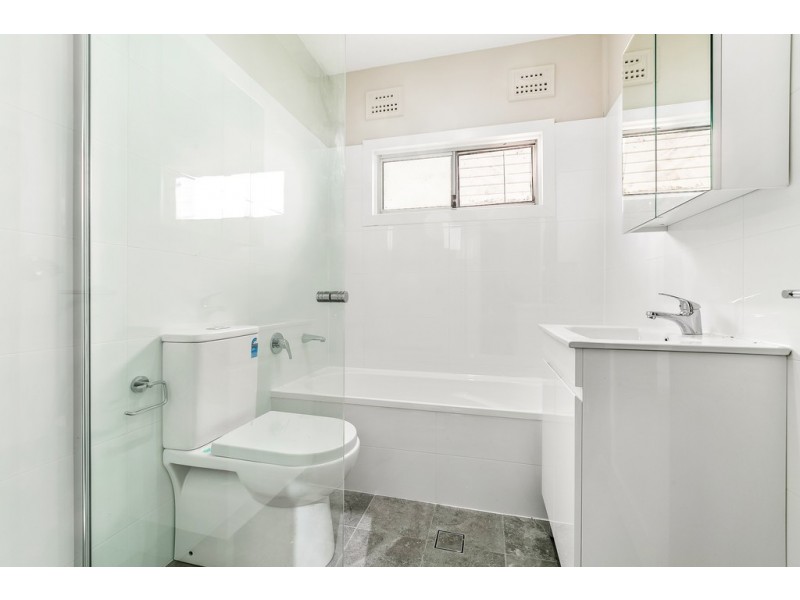 91 Sir Joseph Banks Street, Bankstown NSW 2200