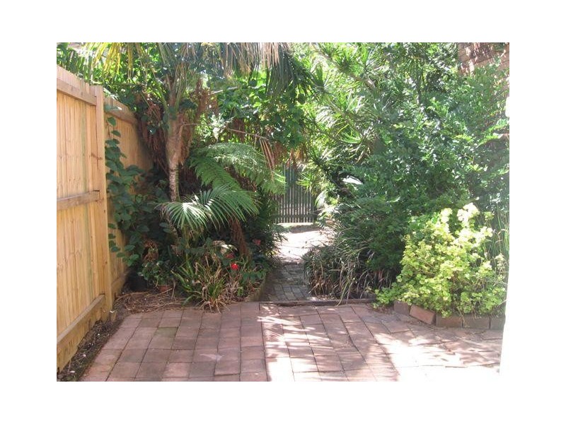 24 Bucknell Street, Newtown NSW 2042