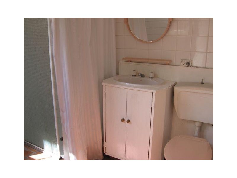 24 Bucknell Street, Newtown NSW 2042