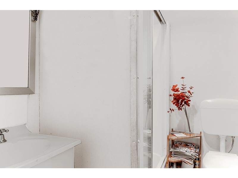 77 Albermarle Street, Newtown NSW 2042