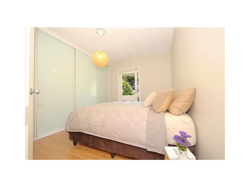 55 Ferndale Street, Newtown NSW 2042