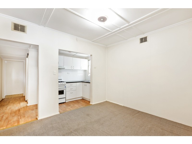 118 Silver Street, St Peters NSW 2044