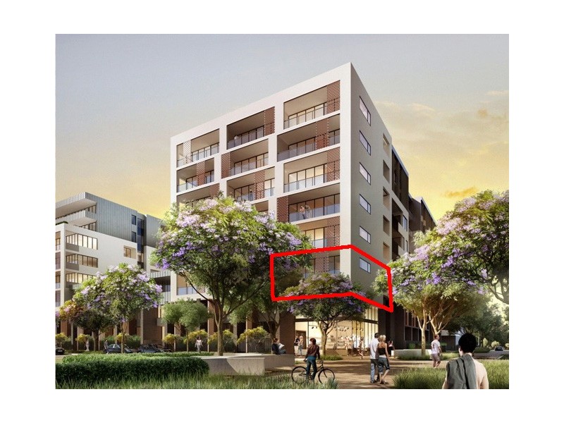 A304/33 Bridge Street, Erskineville NSW 2043