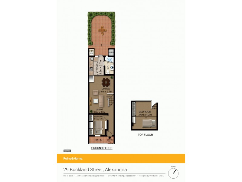 29 Buckland Street, Alexandria NSW 2015 Floorplan