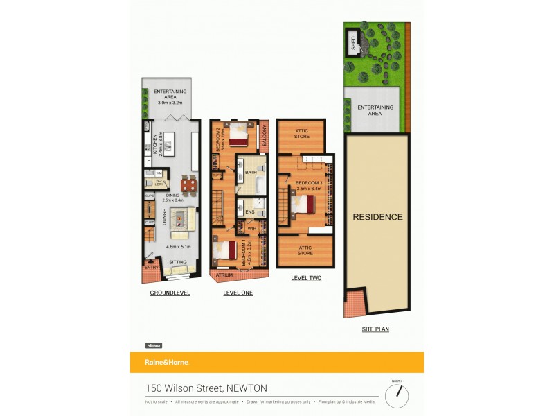 150 Wilson Street, Newtown NSW 2042 Floorplan