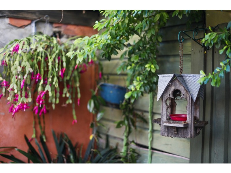 45 Brighton Street, Petersham NSW 2049