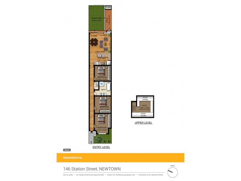 146 Station Street, Newtown NSW 2042