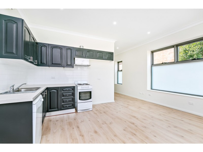 88 Chelmsford Street, Newtown NSW 2042