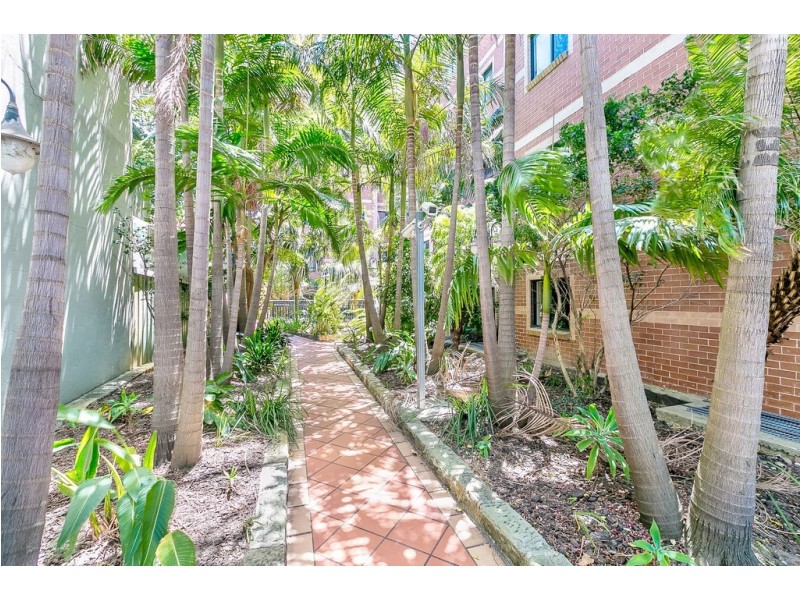 2/187 Cleveland Street, Redfern NSW 2016