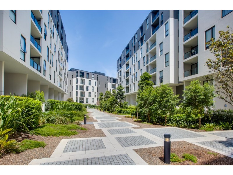 301/136 Ross Street, Forest Lodge NSW 2037