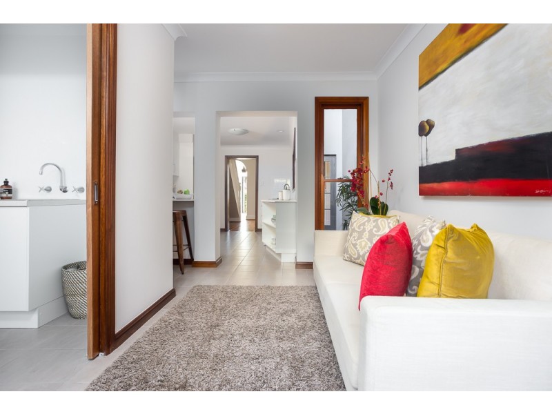 29 Albert Street, Newtown NSW 2042