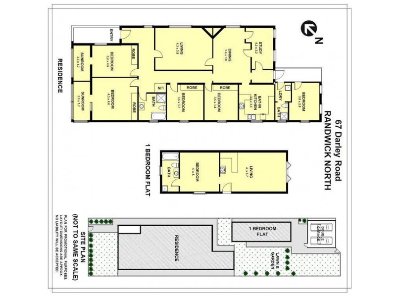 67 Darley Road, Randwick NSW 2031 Floorplan