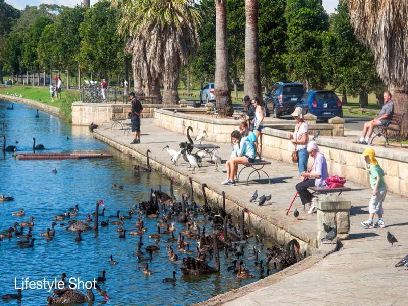 17/8-12 Ascot Street, Kensington NSW 2033