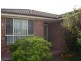 5 palm, Ettalong Beach NSW 2257