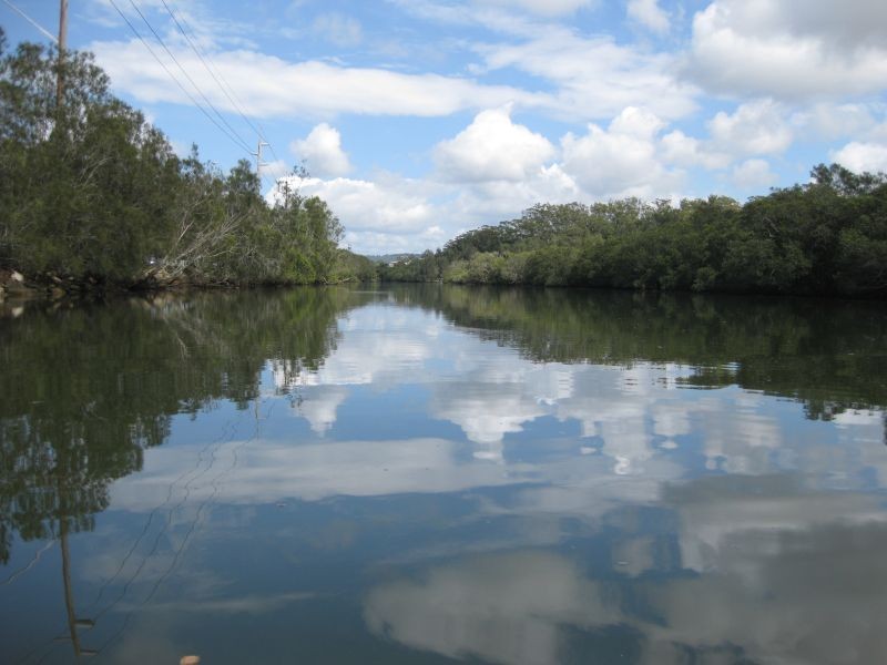 20 Barinya Lane, Springfield NSW 2250