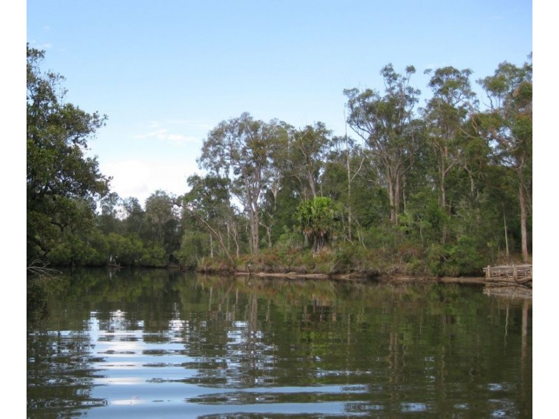 20 Barinya Lane, Springfield NSW 2250