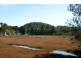 17-25 Murna Avenue, Davistown NSW 2251