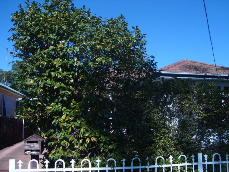 22 BIRDWOOD AVENUE, Umina Beach NSW 2257