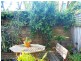 292 Falcon Street, Neutral Bay NSW 2089