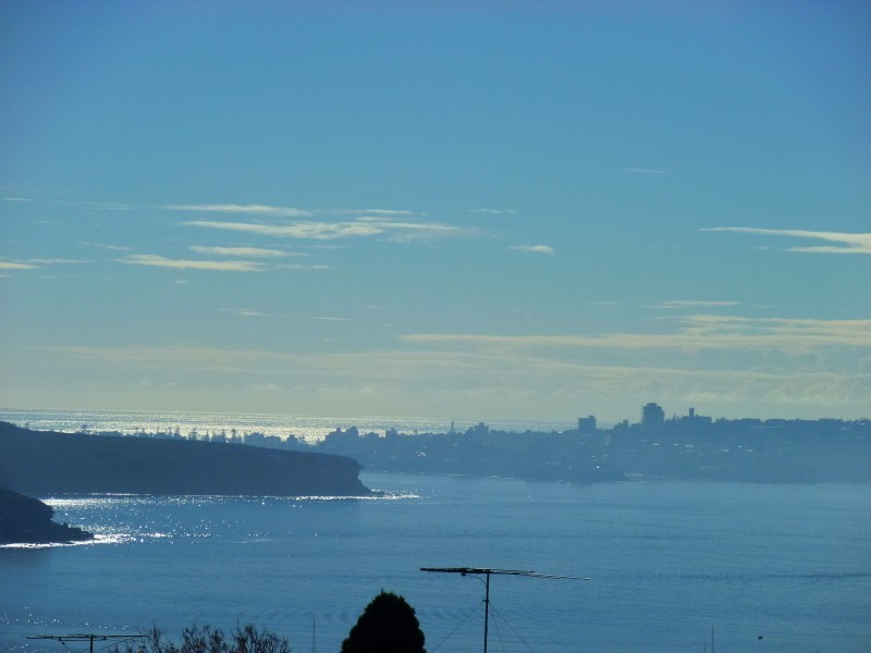 7/163 Middle Head Road, Mosman NSW 2088