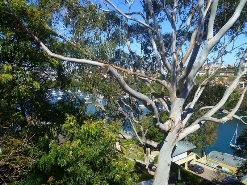 18/6 McLeod Street, Mosman NSW 2088