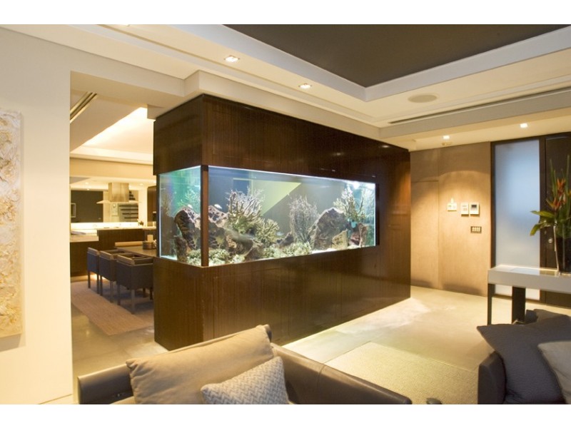 157 Raglan Street, Mosman NSW 2088