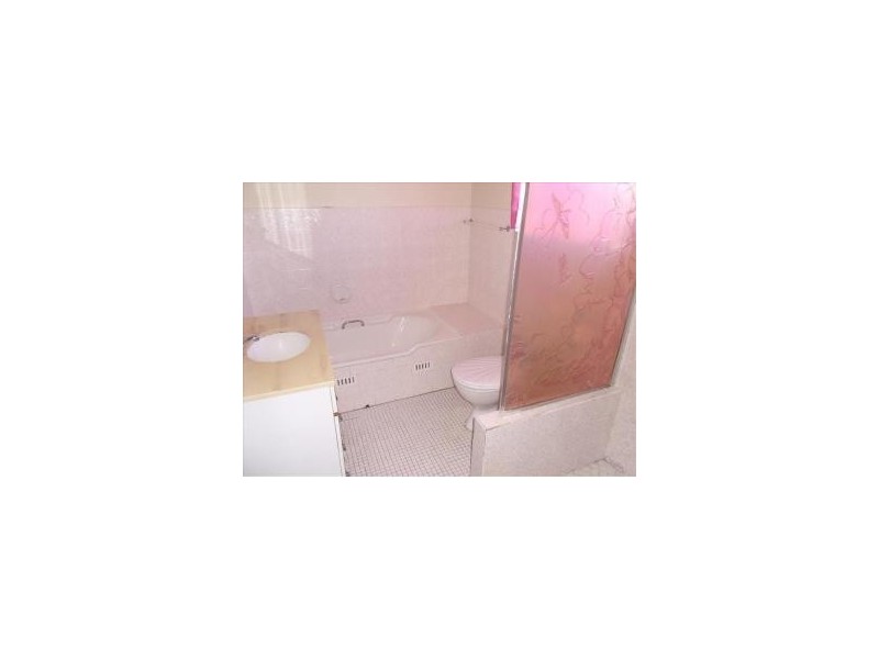 14 Richmond Street, Croydon NSW 2132