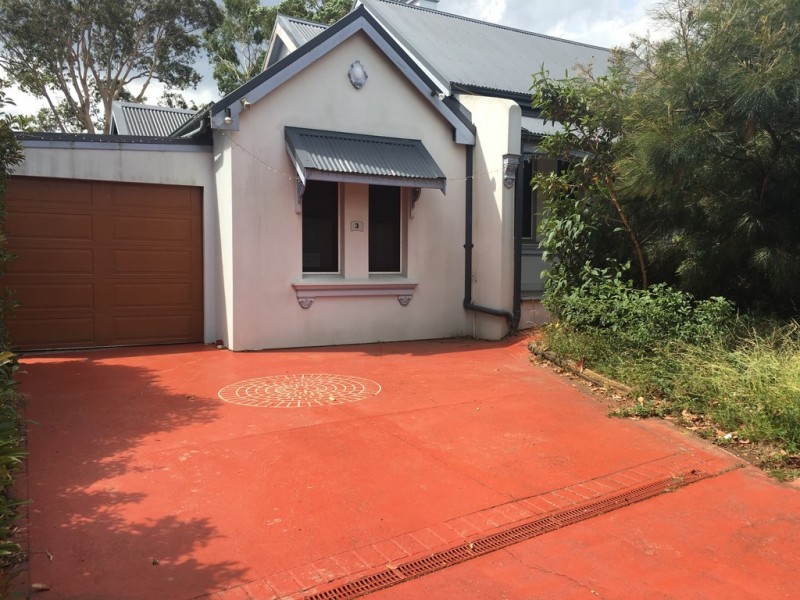 3 Princess Avenue, North Strathfield NSW 2137