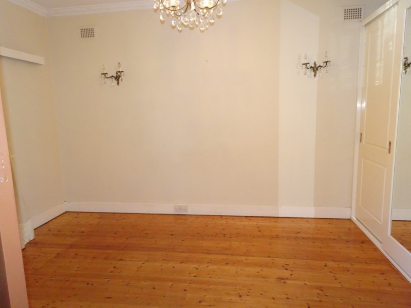162 Edwin Street North, Croydon NSW 2132