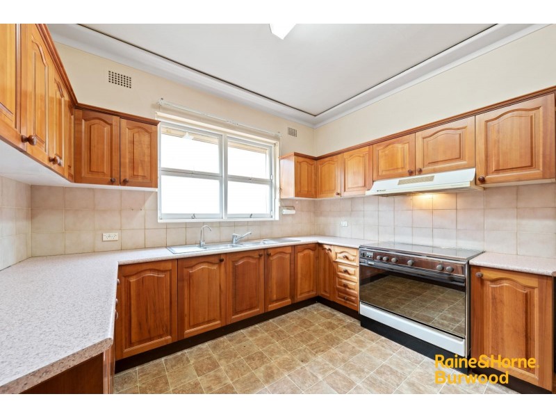 53 Albert Crescent, Burwood NSW 2134