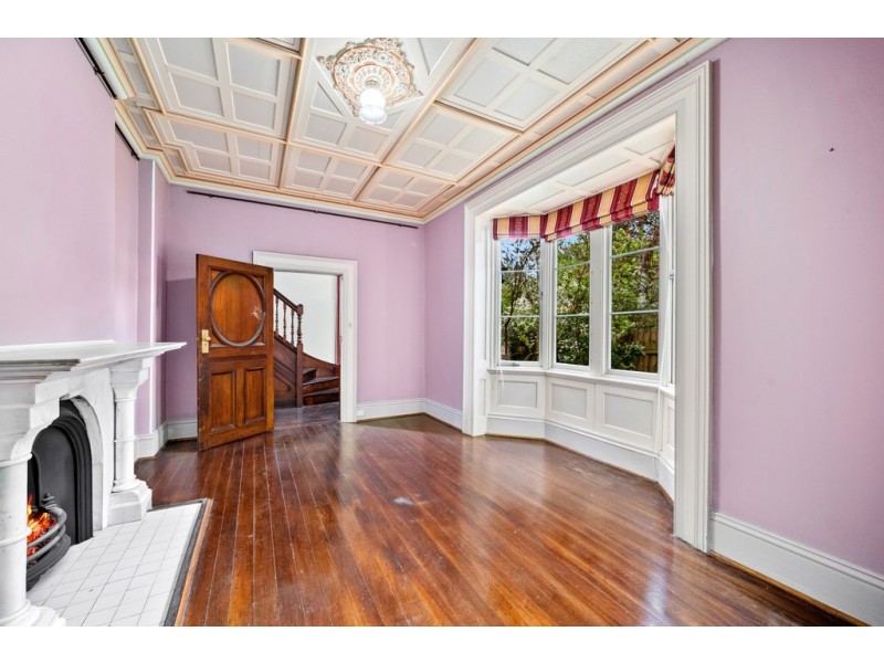 177 Norton Street, Ashfield NSW 2131