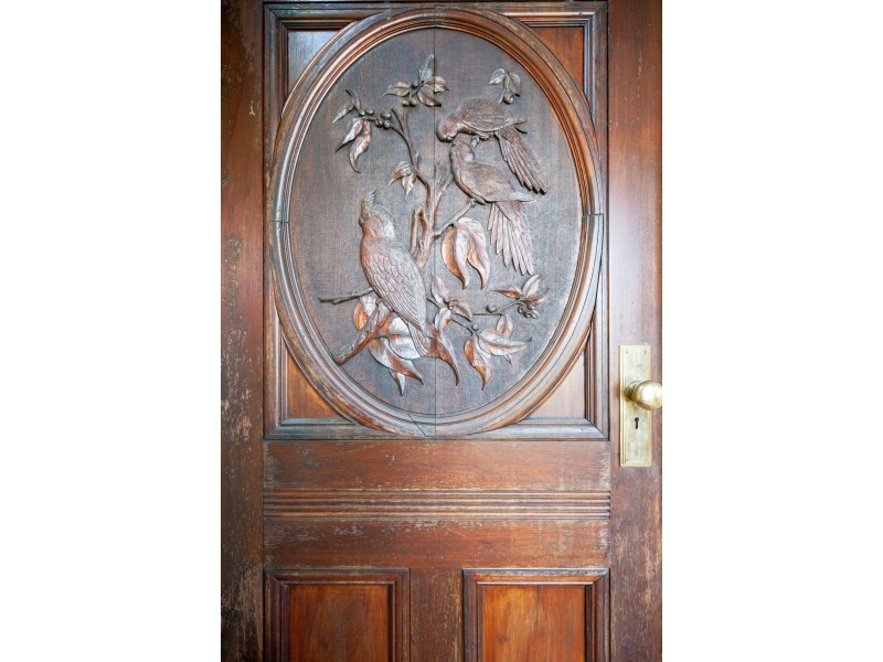 177 Norton Street, Ashfield NSW 2131