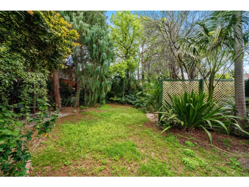 177 Norton Street, Ashfield NSW 2131