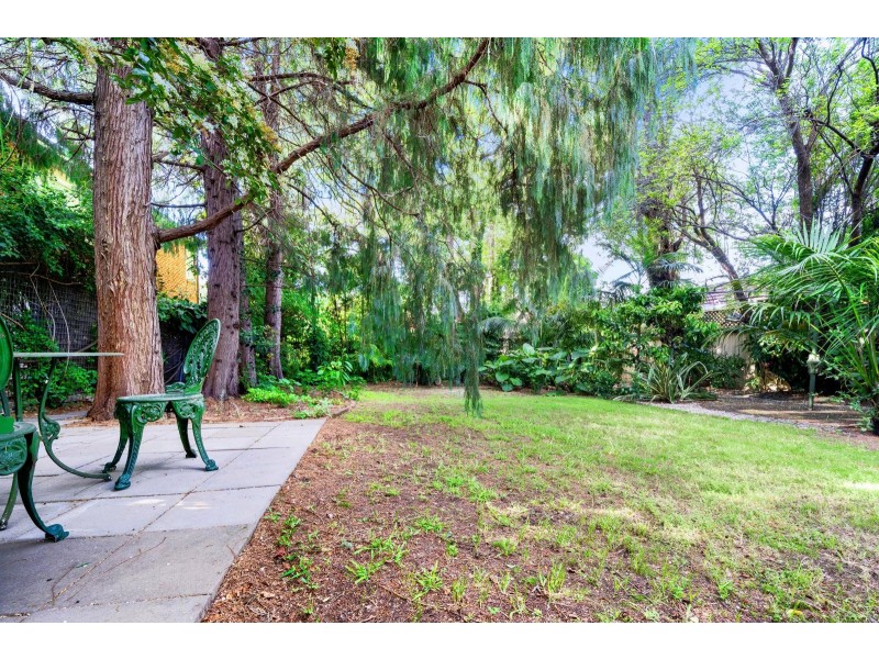 177 Norton Street, Ashfield NSW 2131