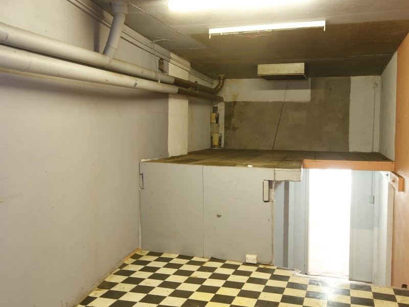 117 Parramatta Road, Annandale NSW 2038