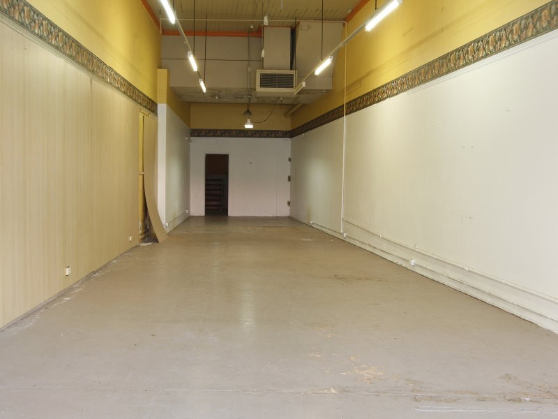 117 Parramatta Road, Annandale NSW 2038