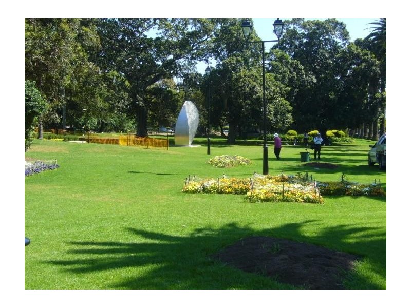 17 Wilga Street, Burwood NSW 2134