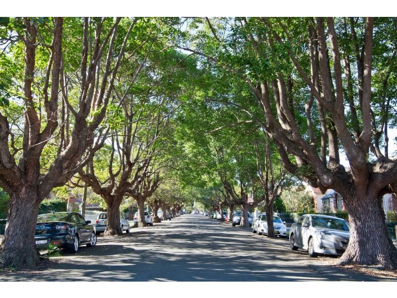 68 Canonbury Grove, Dulwich Hill NSW 2203