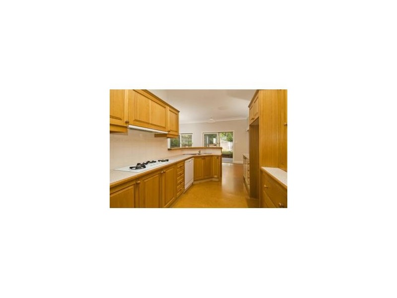 62 Beresford Road, Strathfield NSW 2135