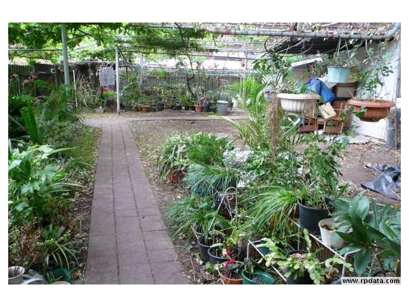 28 Campsie Street, Campsie NSW 2194