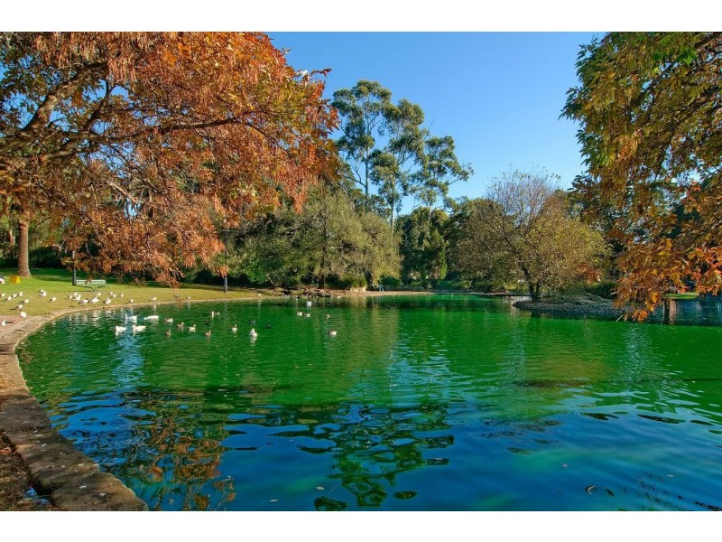 15/18-20 Park Avenue, Burwood NSW 2134