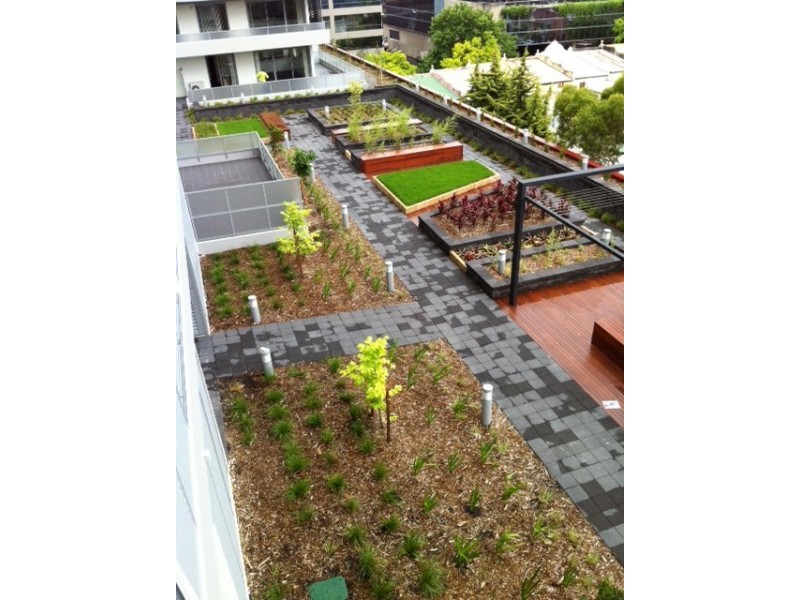 B501/1-17 Elsie Street, Burwood NSW 2134