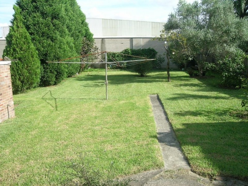 8 Burton Street, Concord NSW 2137