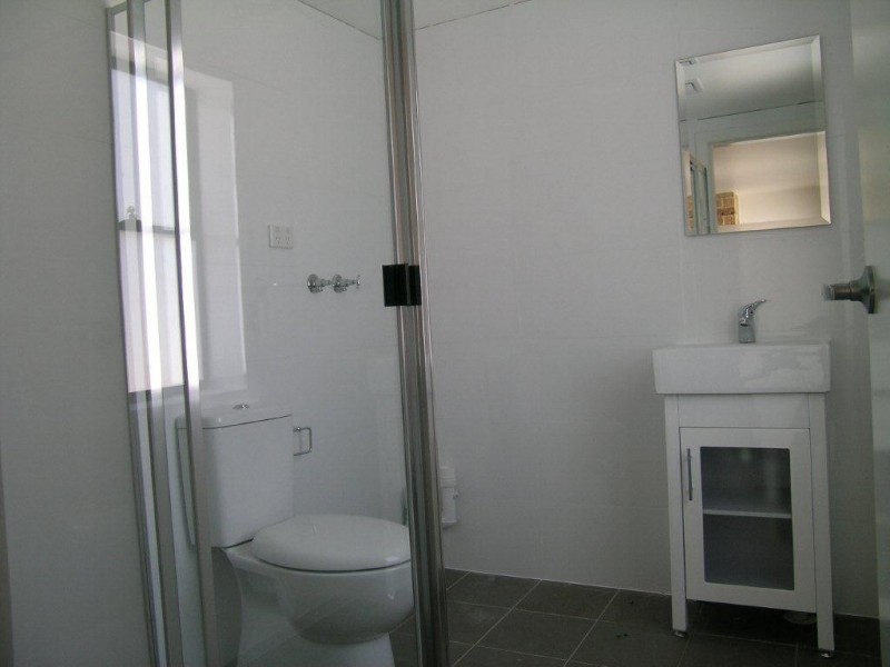 113 Crystal Street, Petersham NSW 2049