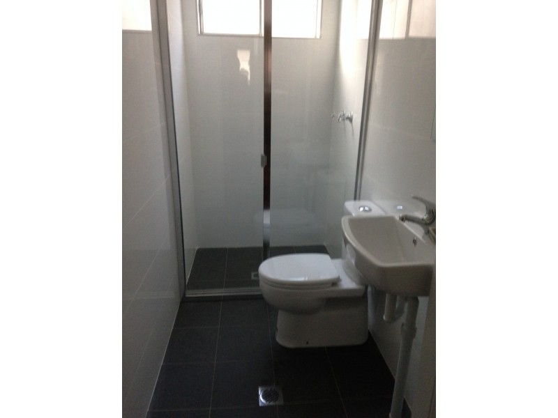 13 Joseph Street, Ashfield NSW 2131