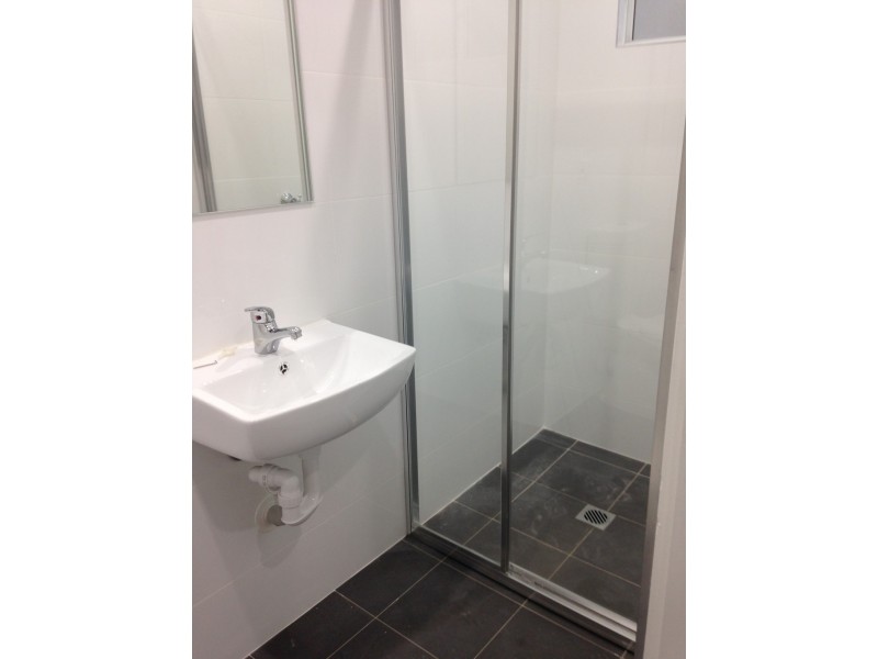 13 Joseph Street, Ashfield NSW 2131